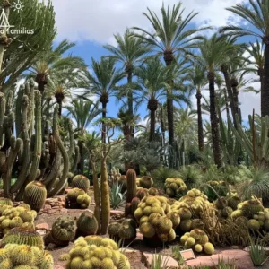 Huerto del Cura en Elche