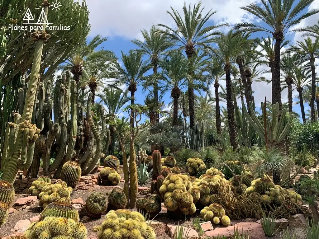 Huerto del Cura en Elche
