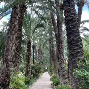 Huerto del Cura en Elche