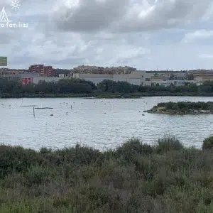 Laguna del Museo de la Sal en Santa Pola