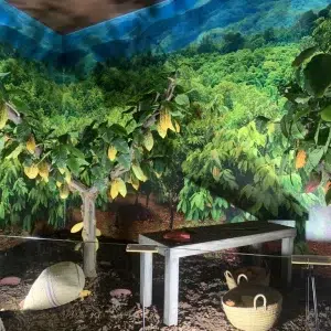 Museo del chocolate Valor