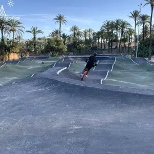 Parque el palmeral de Alicante