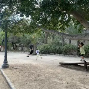Parque el palmeral de Alicante
