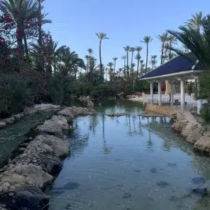 Parque el palmeral de Alicante