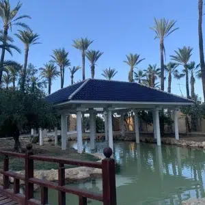 Parque el palmeral de Alicante