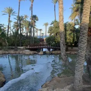 Parque el palmeral de Alicante