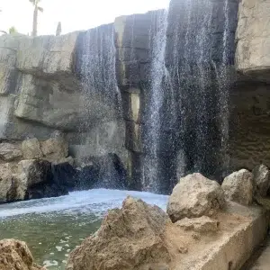Parque el palmeral de Alicante