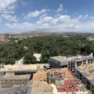 Palmeral de Elche