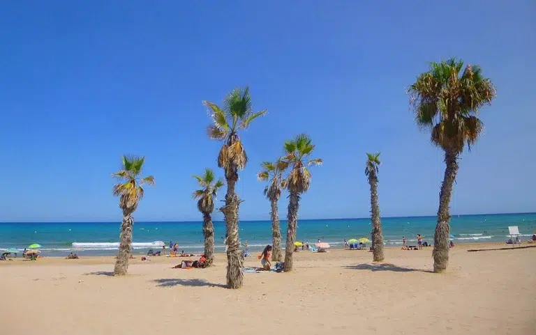 Playa de San Juan en Alicante 4 (3)