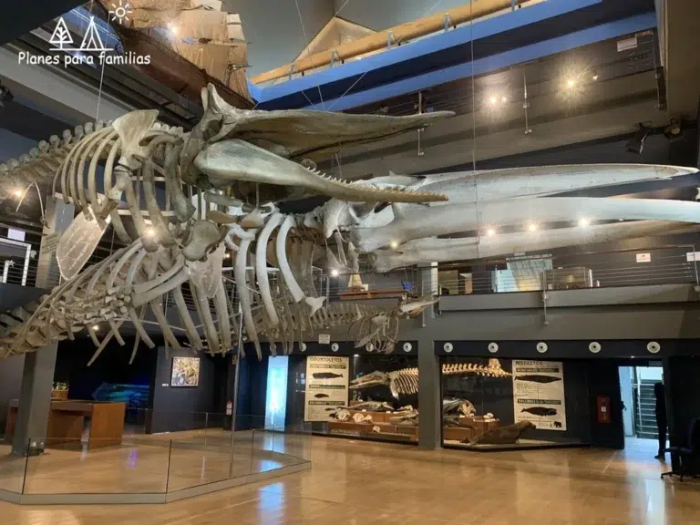 Acuario de Santander o Museo Marítimo del Cantábrico 5 (1)