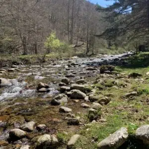 Area recreativa del Achichuelo