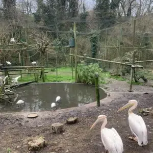 Zoo de Santillana del Mar
