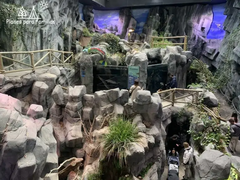Bioparc acuario de Gijón