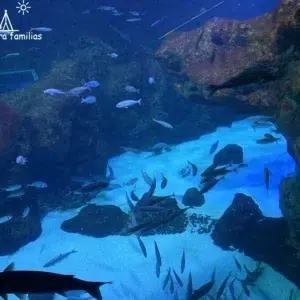 Bioparc acuario de Gijón