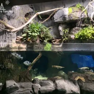 Bioparc acuario de Gijón