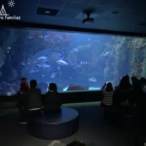 Bioparc acuario de Gijón
