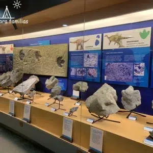 Fósiles en el Museo del Jurásico de Asturias