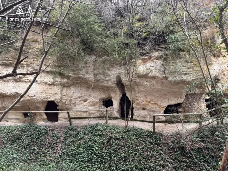 Cuevas de los Portugueses – Trespaderne 5 (1)