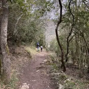 Ruta pasarelas de los Hocinos