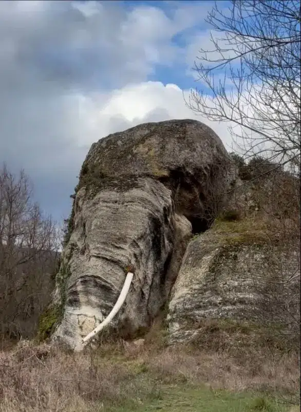 Peña elefante