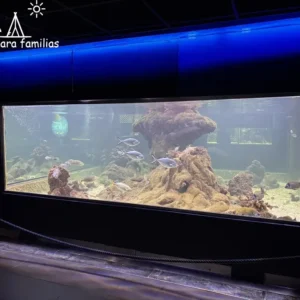 Acuario de Santa Pola