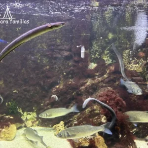 Acuario de Santa Pola