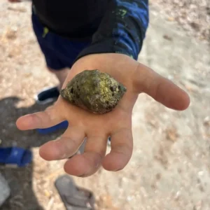 Snorquel en Tabarca