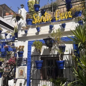 Casita de las macetas azules en Alicante