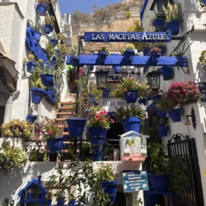 Casita de las macetas azules en Alicante