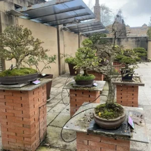 Jardín Botánico de Gijón