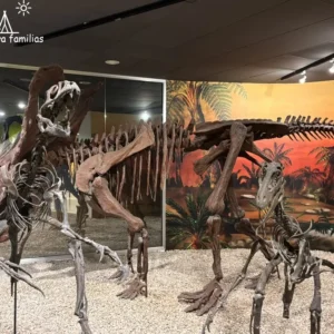 Museo Paleontológico de Elche