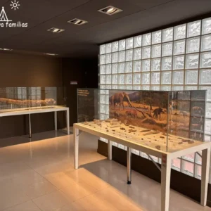 Museo Paleontológico de Elche