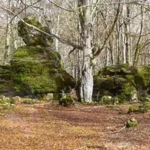 Formaciones rocosas del Laberinto de Arno