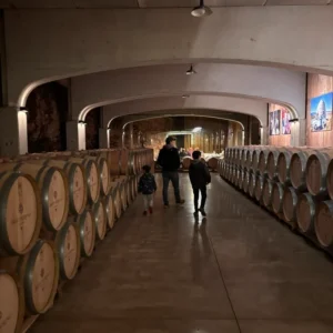 Bodegas David Moreno