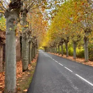 Via verde de Ezcaray