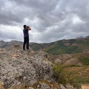 berrea en Cervera de Pisuerga