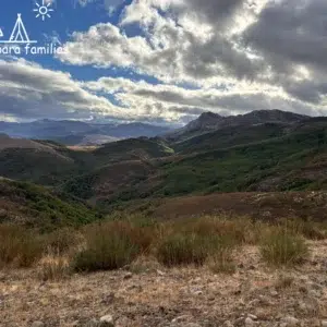 berrea en Cervera de Pisuerga