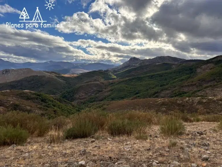 berrea en Cervera de Pisuerga