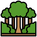bosque